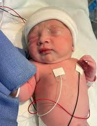 Animal Hospital of Kannapolis