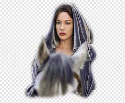 Liv tyler lord of the rings. Liv Tyler Arwen The Lord Of The Rings The Fellowship Of The Ring The Lord Of The Rings The Battle For Middle Earth Arwen Girl Film Hair Png Pngwing