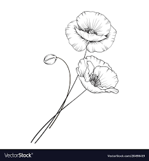 Free Free 339 Poppy Flower Outline Svg SVG PNG EPS DXF File
