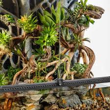 Image result for Terrarium Cling Background