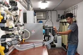 Image result for Haplocoelum inoploeum