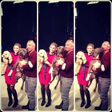 Junior Got His Kiss Gdla Gooddayla Junior Cesarmillan Silly Funny Pitbull Pitbullofinstagram Dog Instag Cesar Millan Best Dogs For Families Pitbulls