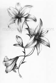 Black And White Lily Flower Tattoo Outline Black And White Lily Flower Lily Flower Shoulder Tattoo Lily Lily Tattoo Lily Flower Tattoos Lily Tattoo Design