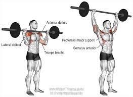 Image Result For Standing Barbell Military Press Shoulder Workout Best Shoulder Workout Workout Guide