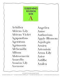 Flower Beginning With A Flower Names Starting With Letter A Flower Names Lettering African Lily