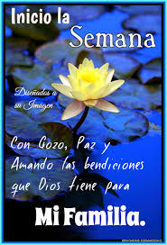 Pin De Martha Ortiz En Saludos Feliz Lunes Feliz Viernes Botellas De Vino De Navidad