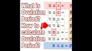 Menstrual periods are different from woman to woman and month to month. How To Calculate Ovulation Period And Get Fast Pregnancy Tips In Tamil Rainbowtalk Youtube