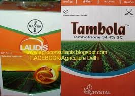 When choosing a post applied corn herbicide or herbicide combination, producers need to consider the weed species present, weed heights, and crop growth stage. Tembotrione 42 Sc 34 4 W W Plus Isoxadifen Ethyl Safener E G Laudis Bayer Tambola Crystal à¤®à¤• à¤• à¤• à¤–à¤°à¤ªà¤¤à¤µ à¤° à¤¨ à¤¶à¤• Maize Corn Herbicide As Post Emergence At 15 Das Controls Broad Leaf And Grassy Weeds Www Agroconsultants