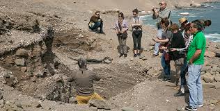 Check spelling or type a new query. Momias Chinchorro En Busca De Su Reconocimiento Mundial Revista El Loa