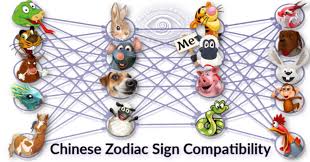 Horoscope compatibility is of course of high interest to all of us. See The Chinese Zodiac Signs For Your Most Compatible Animal