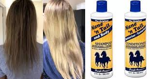 I tried mane and tail but it isn't working mane n tail conditioner rachael r. Horse Shampoo Promises Hair Regrowth And Has More Than 1000 Reviews On Amazon Small Joys