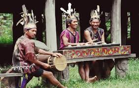 Biasanya alat musik satu ini digunakan untuk mengiringi tarian sekaligus nyanyian khas suku dayak kalimantan. Mengenal 7 Rumpun Suku Dayak Di Pulau Kalimantan Duaistanto Journey