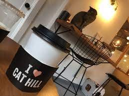 You'll pass three or four starbucks on the way to work—and at least as many independent shops. Neko Cafe On Capitol Hill Is The Cat S Meow Seattle Coffee Scene