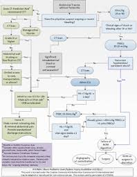 Image result for PECARN Pediatric Intra-Abdominal Injury Algorithm