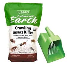 Pin On Gardening Tips