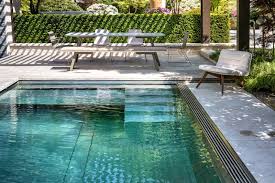 Naturpool Biopool Egli Jona Ag Natur Pool Pool Zaun Bio Pool