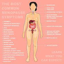 However, as an herbalist, i find that most women do lose hair after menopause. Dr Hayden Homer