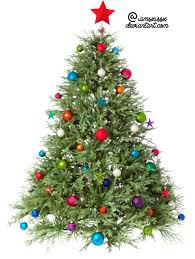Its size is 1.81 mb and you can easily and free download it from this link: Christmas Tree Png Clipart