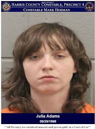 Mark Herman, Harris County Constable Precinct 4