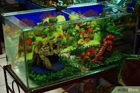 When it comes to enclosure size, bigger is always better. How To Set Up A Turtle Tank 12 Steps With Pictures Wikihow