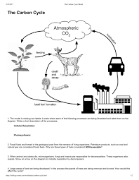 In the carbon cycle, carbon is constantly removed from, and returned to, the environment. Carbon Cycle Worksheet