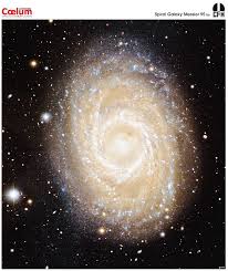Supernova 2001bg in ngc 2608 iauc 7626 available at central bureau for astronomical telegrams. Galaxia Espiral Barrada M95