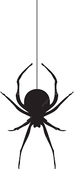 Vector Araña Silueta Piernas Infancia Red Vector PNG ,dibujos Piernas,  Infancia, La Red PNG y Vector para Descargar Gratis | Pngtree