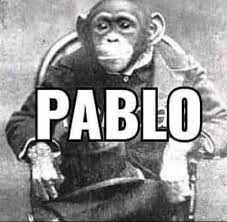 Me.me tuesday is some people's favorite day of the week. Pablo The Monke Memes