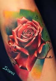 Hummingbird With Rose Tattoos Color Rose Tattoo Tattoos Rose Tattoos Colorful Rose Tattoos Realistic Rose Tattoo