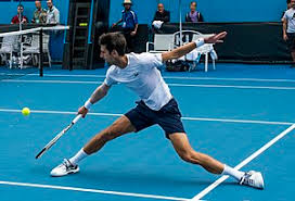 Propadanje i zatiranje istorijske baštine. Novak Ä'okovic Wikipedia La Enciclopedia Libre