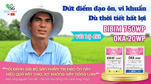 Bibim 750WP