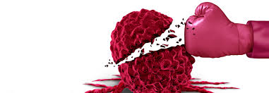 Bei diesen varianten handelt es sich um jeweils vergleichsweise aggressive formen der therapie. Triple Negativer Brustkrebs Nach Der Op Rasch Mit Der Chemo Beginnen Medical Tribune