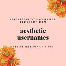 Aesthetic Usernames Home Facebook Cool roblox tiktok usernames how to change your username on tiktok in 5 easy steps adoree roblox adore roblox account banned kidnap drama update aesthetic usernames home facebook