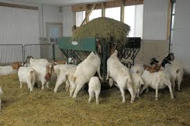 Here are the best goat waterers that will keep your goats hydrated and make your life easier in the process. Winter Preparedness Goat Gazette November 2015 Ontario Goat