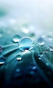 Water Drops Iphone 6 Wallpaper Backgrounds Iphone 5s Wallpaper Background