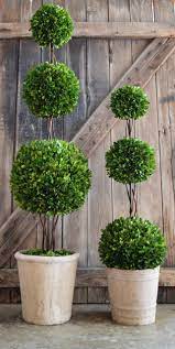 Upright juniper ball topiary tree in a decorative urn with 70 clear lights (27) national tree company. Preserved Boxwood Triple Ball Topiary 40 Home Decorative Accents