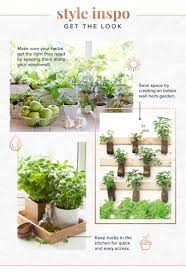 Here is a clever way to create a lovely hanging herb garden in your kitchen in a very easy and inexpensive way from a simple trip to the local hardware store! Indoor Herb Garden Everything You Need To Know Proflowers