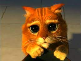 kilise sirasi supheli saptanabilir srek cizmeli kedi joomla layouts com