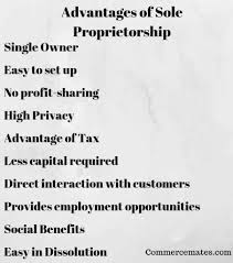 A sole proprietorship is a business structure owned by one person. 10 Advantages Of Sole Proprietorship