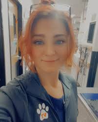 ATTENTION‼️CUTE PUPPER ALERT‼️🐶😍 Stop scrolling and take a second to  admire this adorable face!!! This is Boone, he's a German Shorthaired  Pointer puppy and is one of the newest members of the