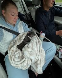 Emma Louise Trotter (@emlouisetrotter) • Instagram photos and videos