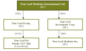 True Leaf Medicine International Ltd Consolidated Financial