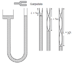 Check spelling or type a new query. Bagaimana Cara Mengukur Cepat Rambat Bunyi Halaman All Kompas Com
