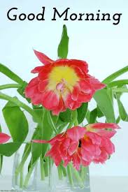 100+ good morning wishes for friends, good morning massage. Monday Morning Wishes Images