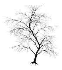Dark Trees Png Stock 01 Dark Tree Tree Painting Tree Silhouette