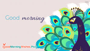 Good morning sunday images good morning angel happy morning quotes good morning my friend good morning picture good morning messages good morning greetings good morning good. Good Morning Gif Peacock Goodmorningwishes Pics
