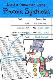 Christmas Science Lab Activity Using Protein Synthesis To Build A Snowman Genetics Activities Lab Activities Protein Synthesis