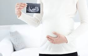 ìì ì ëí ì´ë¯¸ì§ ê²ìê²°ê³¼