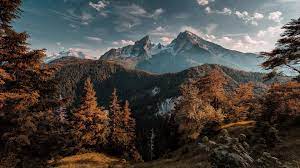 Check spelling or type a new query. Mountain Forest Wallpapers Wallpaper Cave