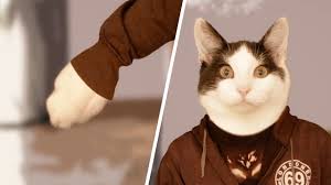 Browse through and read people turning into animals stories and books. Human Cat Transformation Man Turns Into A Cute Cat Youtube